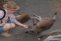 0091 Cairns Tropical Zoo